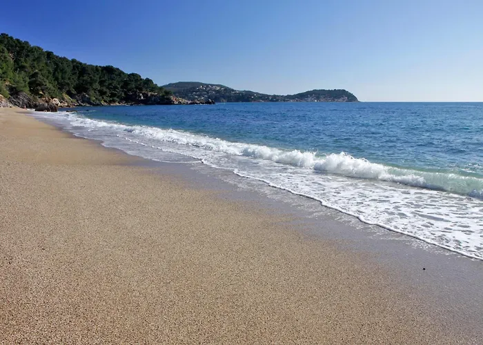 A Deux Pas De La Plage De Sable